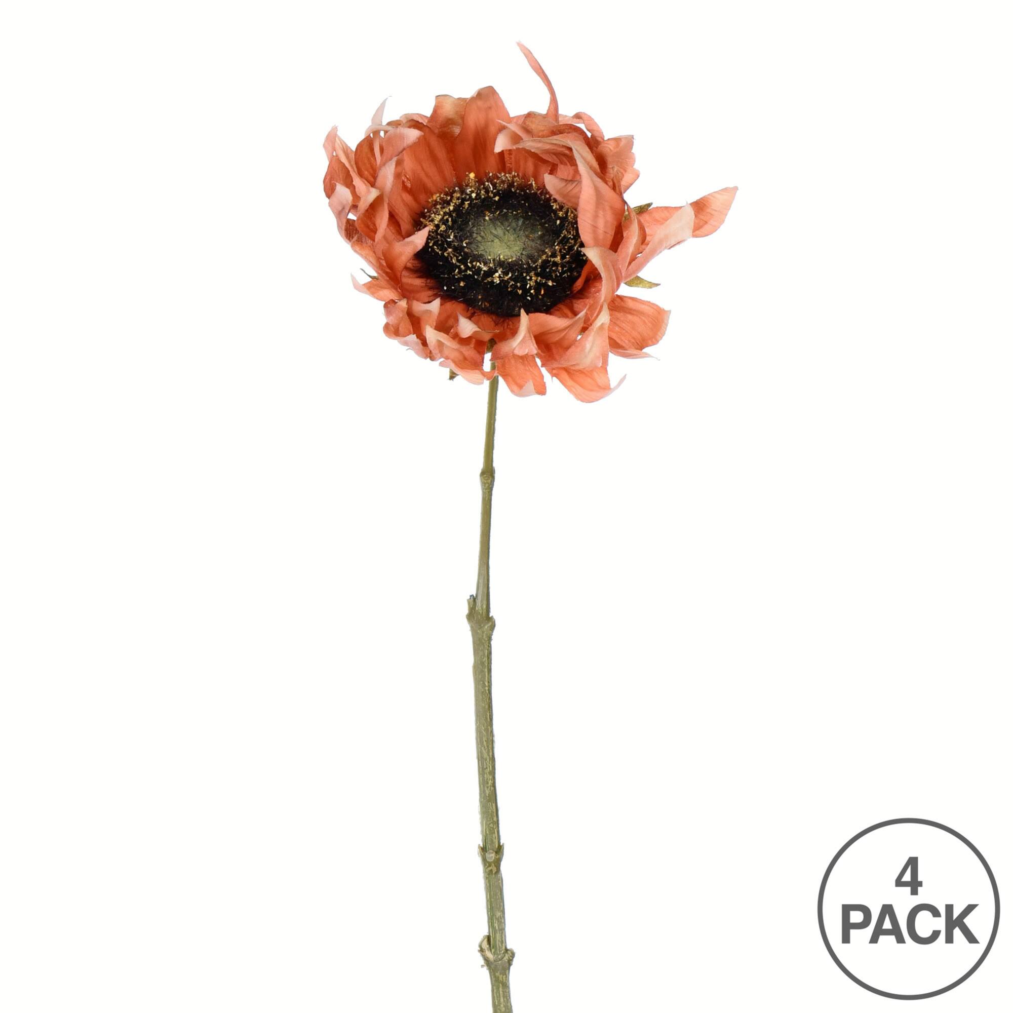 Sunflower Stem